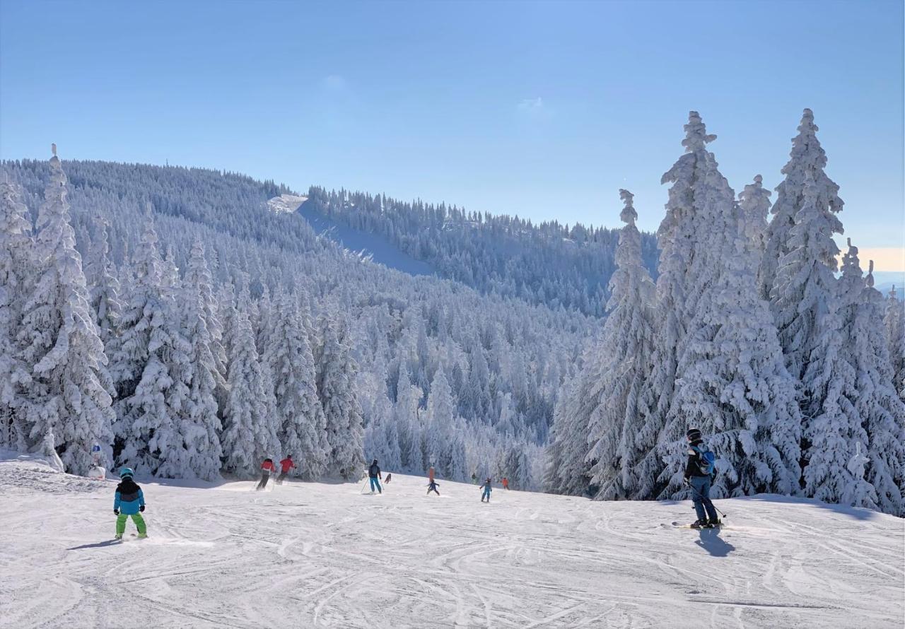 Panorama Bayerwald Διαμέρισμα Neureichenau Εξωτερικό φωτογραφία
