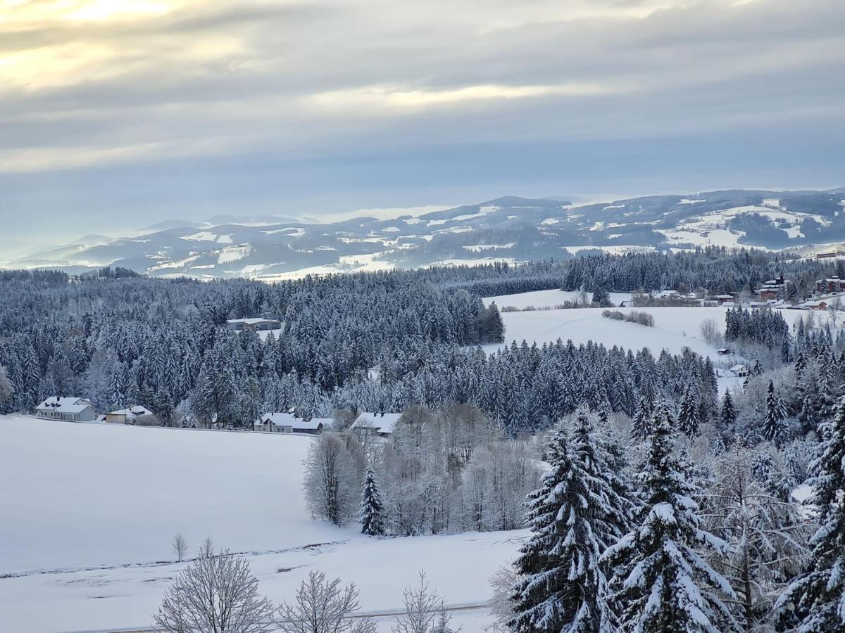 Panorama Bayerwald Διαμέρισμα Neureichenau Εξωτερικό φωτογραφία