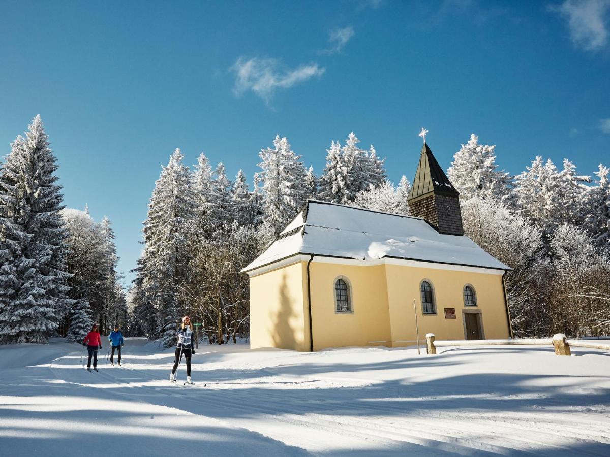 Panorama Bayerwald Διαμέρισμα Neureichenau Εξωτερικό φωτογραφία